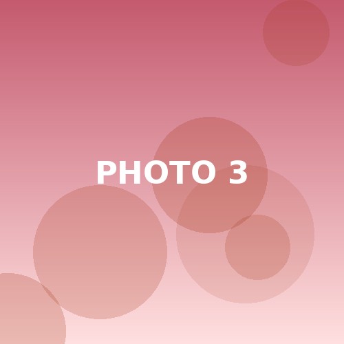 사진 3